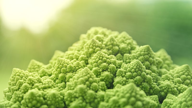 Superfoods Image